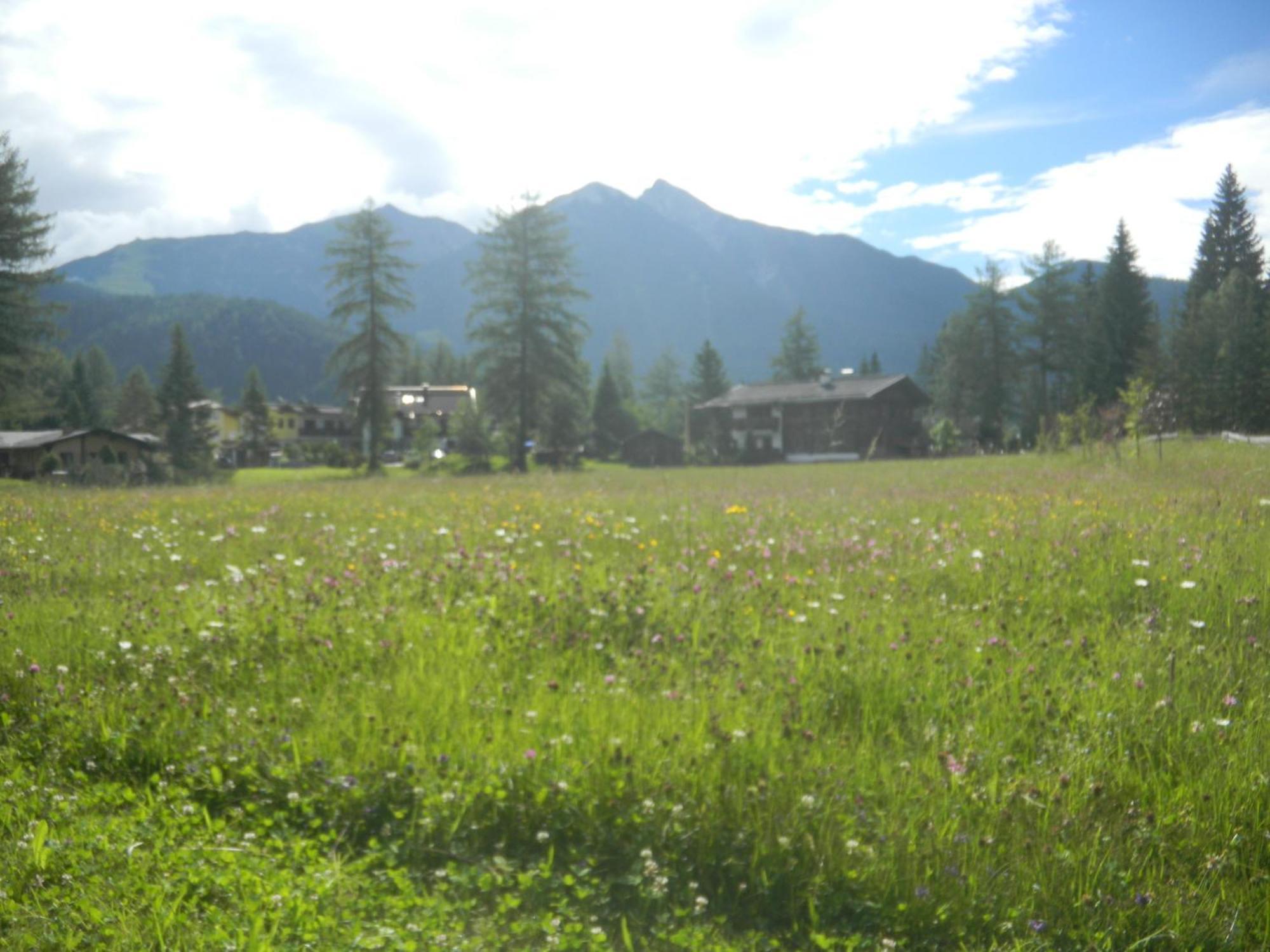 Landhaus Charlotte Am Geigenbuehel -Apartments Зеефелд в Тирол Екстериор снимка