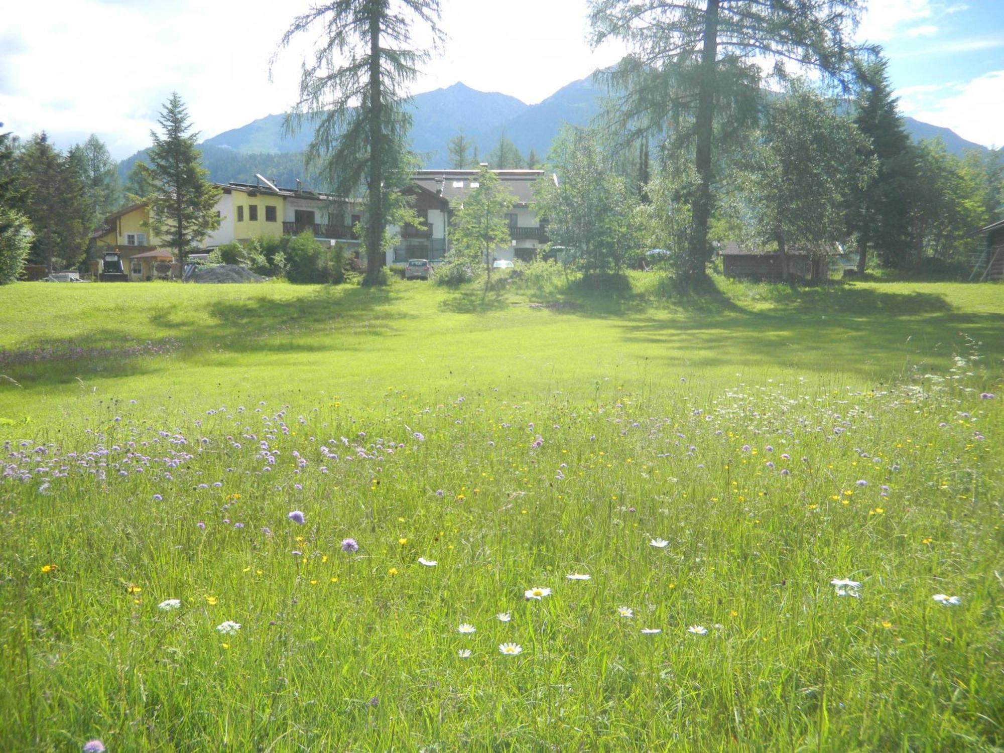 Landhaus Charlotte Am Geigenbuehel -Apartments Зеефелд в Тирол Екстериор снимка