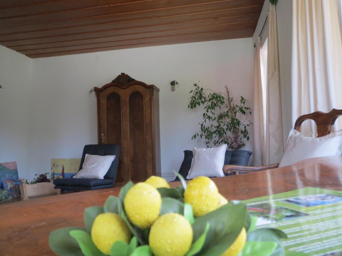 Landhaus Charlotte Am Geigenbuehel -Apartments Зеефелд в Тирол Екстериор снимка